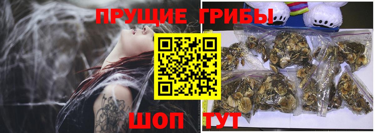 Псилоцибиновые грибы GOLDEN TEACHER  Вход с VPN  Котовск 