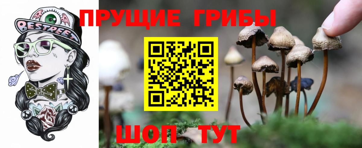 Галлюциногенные грибы прущие грибы Котовск